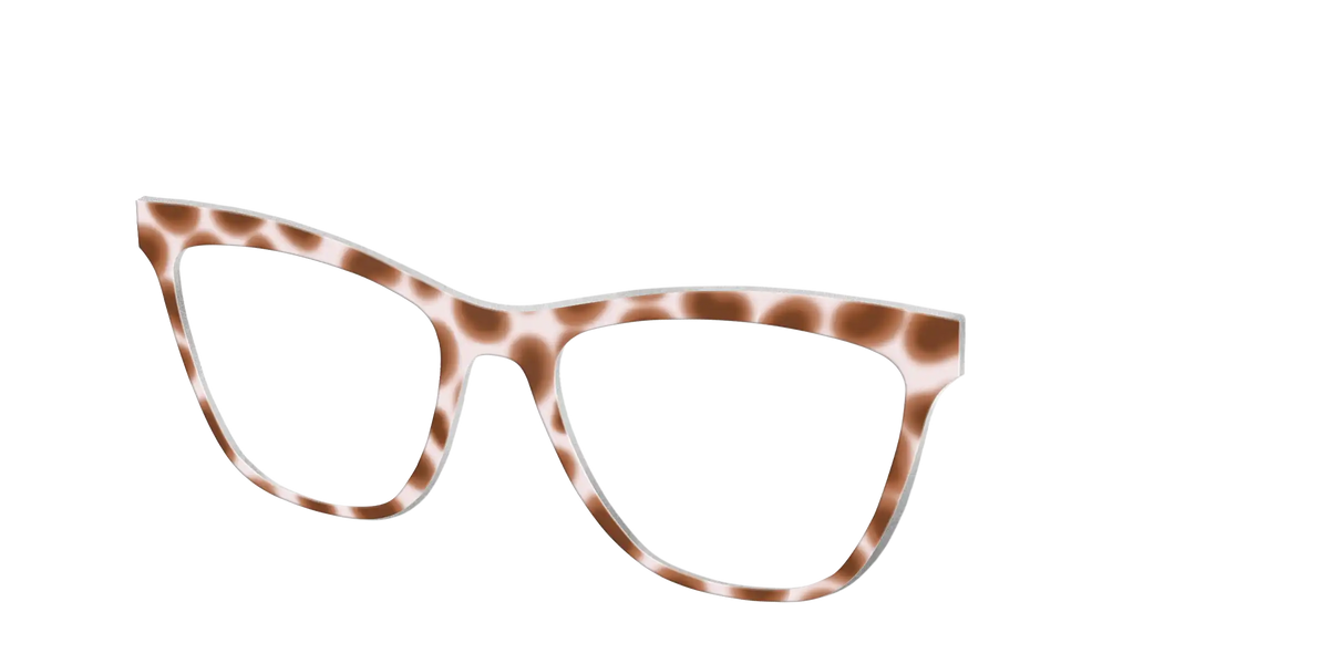 The Caffé Tortoise