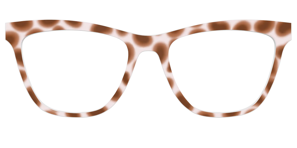 The Caffé Tortoise