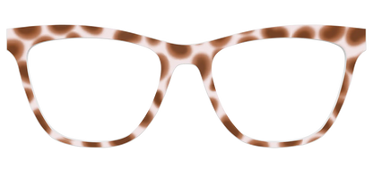 The Caffé Tortoise