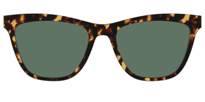 The Non-Polarized Green Tortoise Sun Top