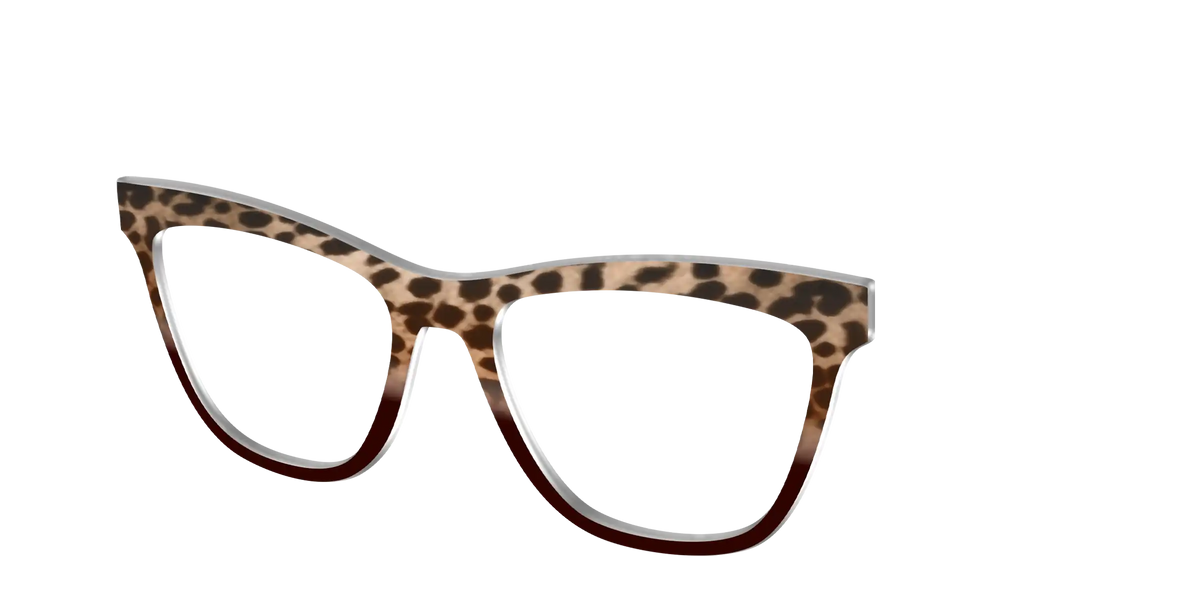 The Jungle Cat Tortoise