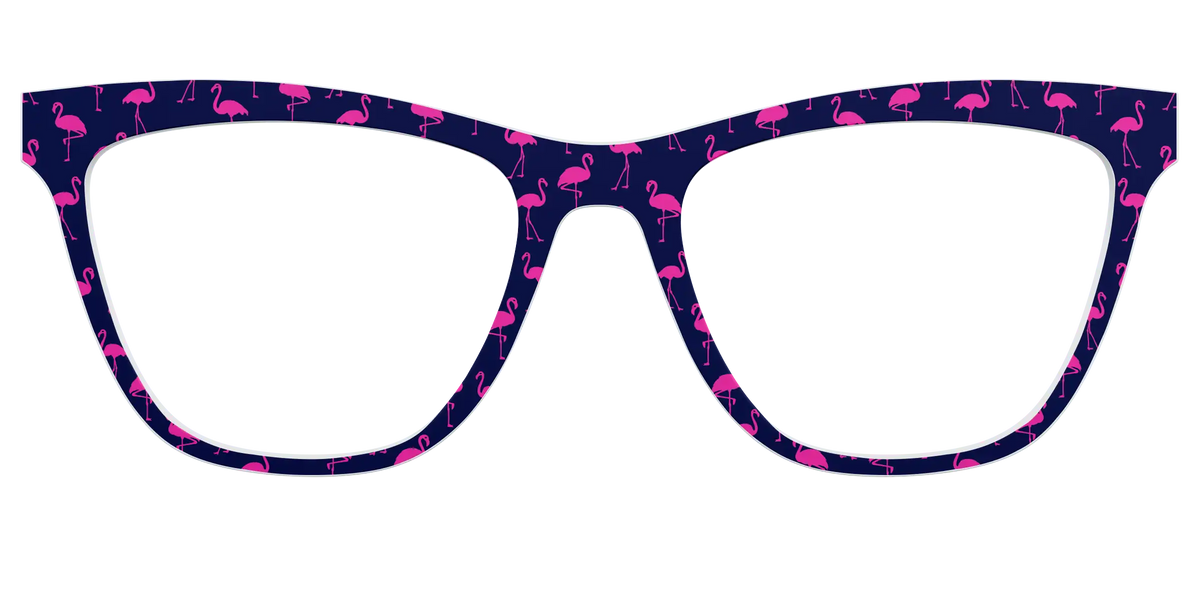 The Navy Flamingos