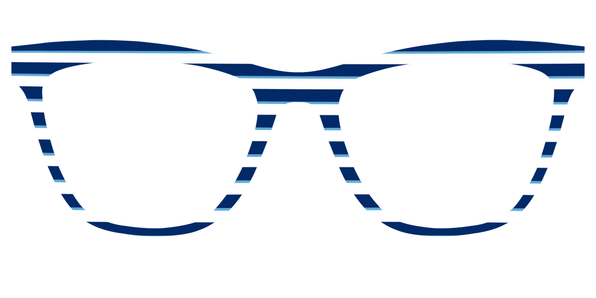 The Navy Stripes