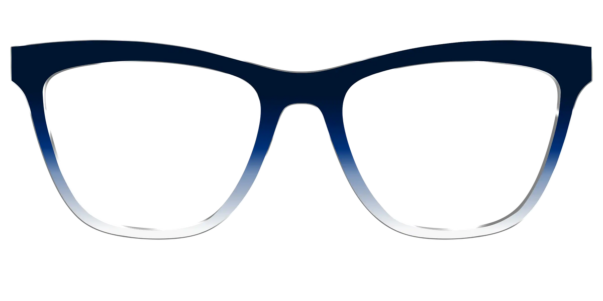 The Navy to White Gradient