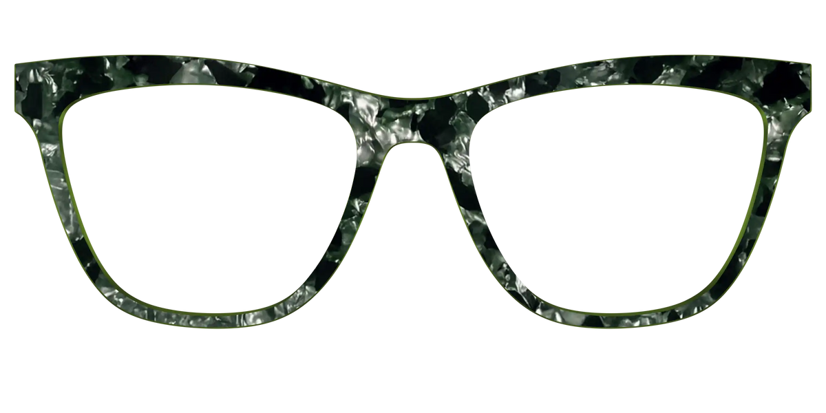 The Olive Pearl Tortoise