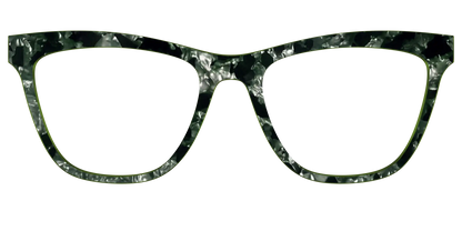 The Olive Pearl Tortoise
