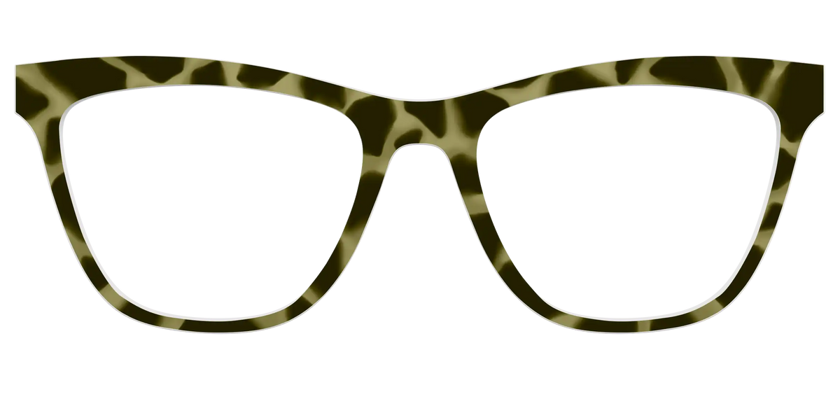 The Olive Tortoise