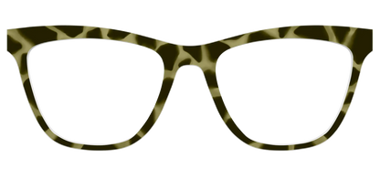 The Olive Tortoise