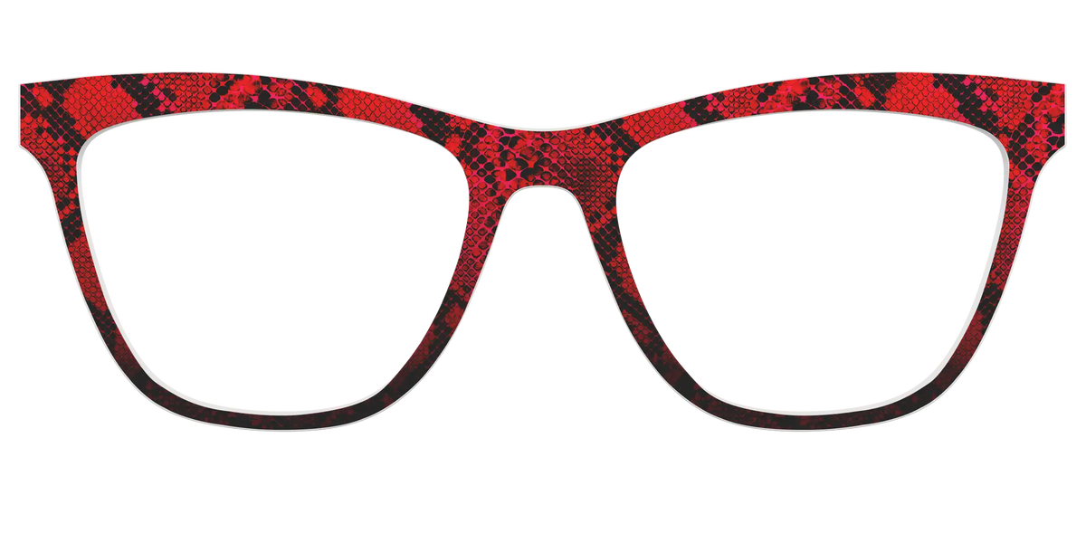The Statement Snakeskin
