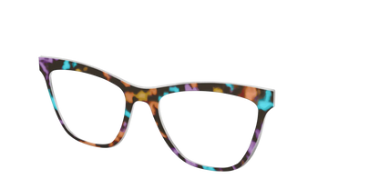 The Summer Tortoise