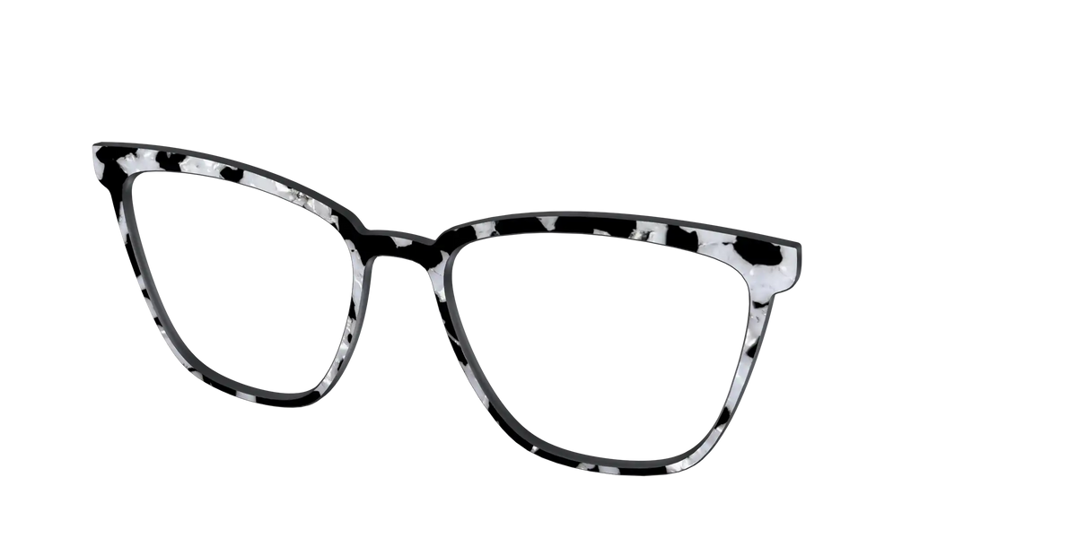 The Black & White Pearl Tortoise