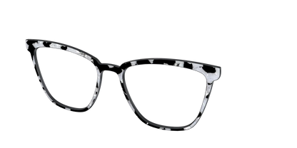 The Black & White Pearl Tortoise
