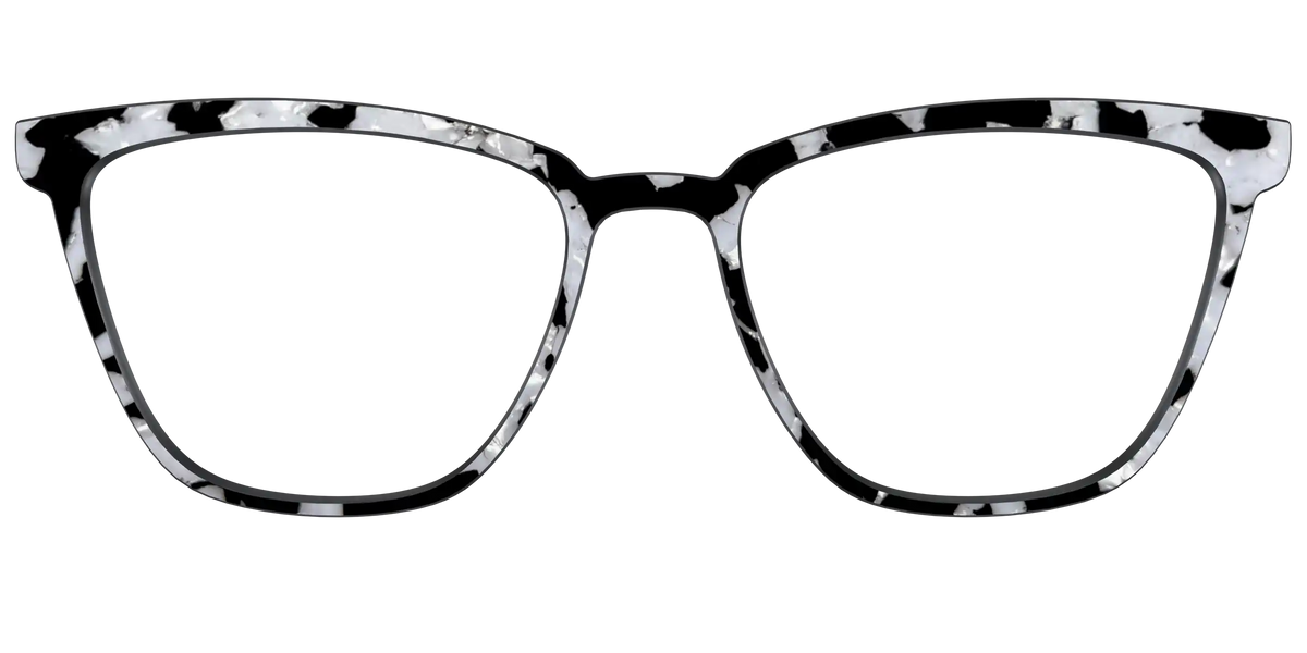 The Black & White Pearl Tortoise