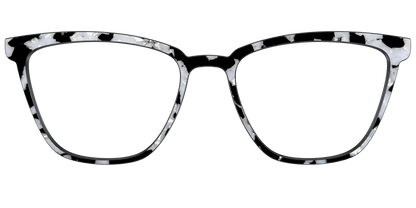 The Black & White Pearl Tortoise