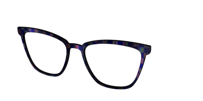 The Black Holographic Check