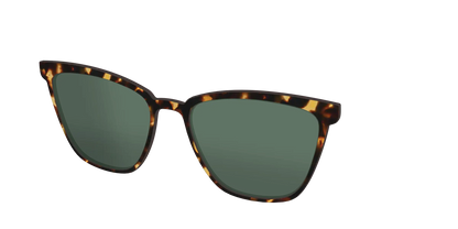 The Non-Polarized Green Tortoise Sun Top