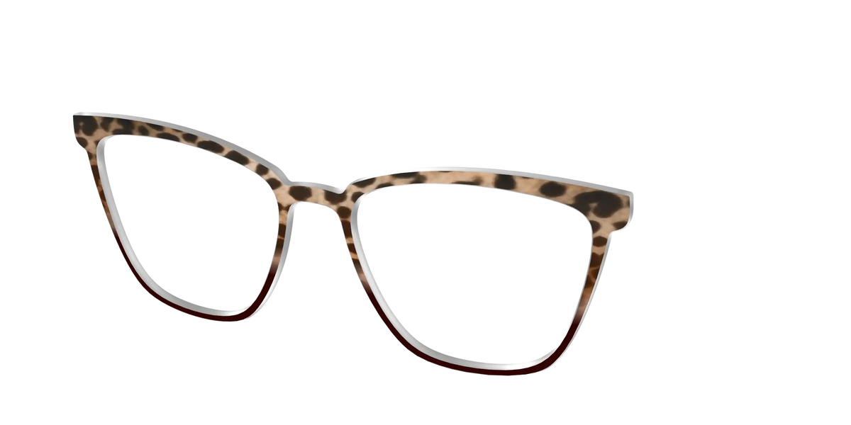 The Jungle Cat Tortoise