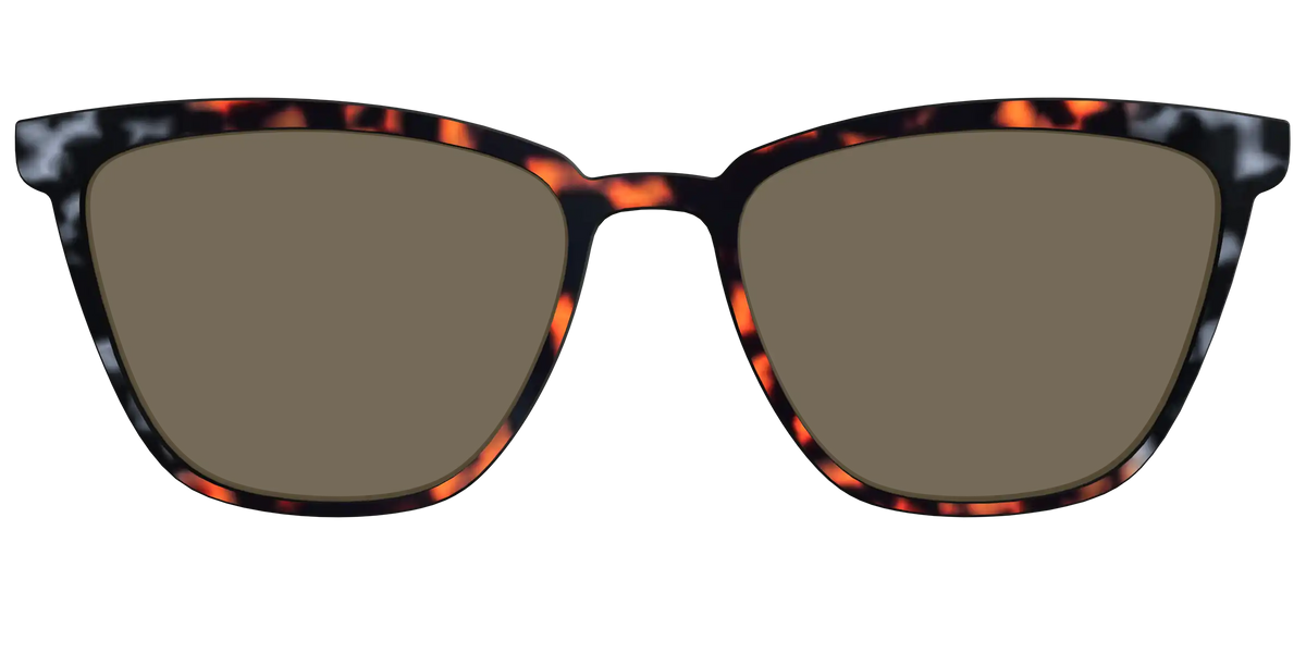 The Polarized Gray & Amber Tortoise Sun Top