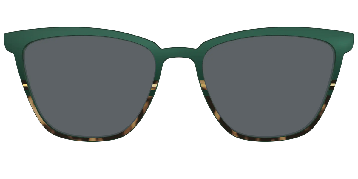 The Polarized Spruce Tortoise Sun Top