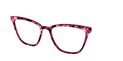 The Raspberry Pearl Tortoise