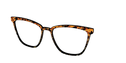 The Rustic Gold Leaf Tortoise