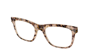 The Almond Tortoise with Gold Streaks