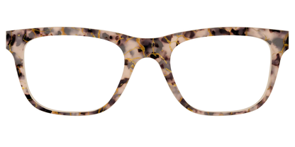 The Almond Tortoise with Gold Streaks