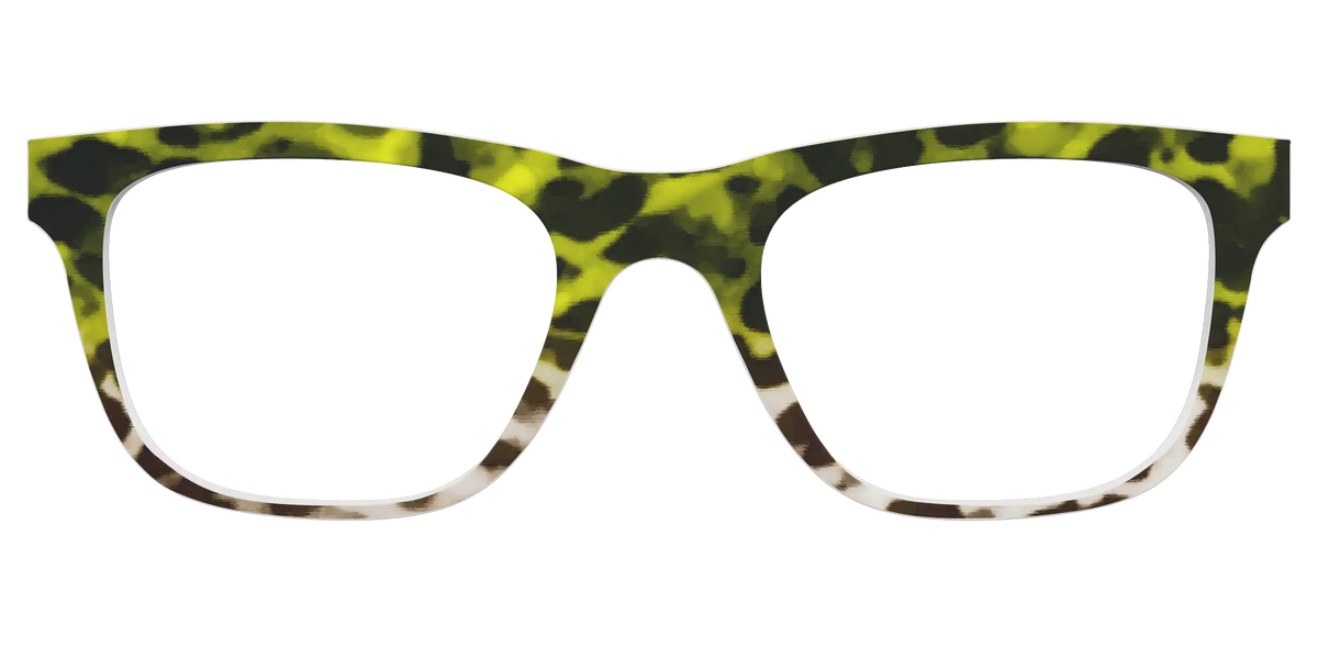 The Avocado to Ivory Tortoise