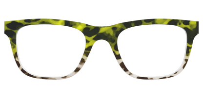 The Avocado to Ivory Tortoise