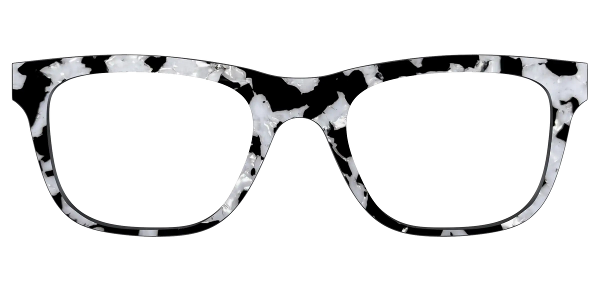 The Black & White Pearl Tortoise