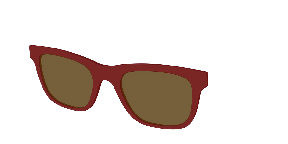 The Polarized Burgundy Sun Top