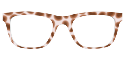 The Caffé Tortoise