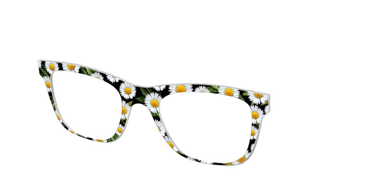 The Delicate Daisies