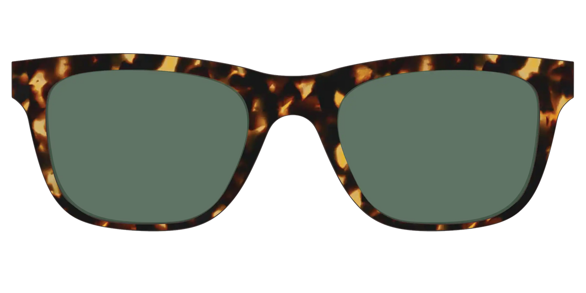 The Non-Polarized Green Tortoise Sun Top
