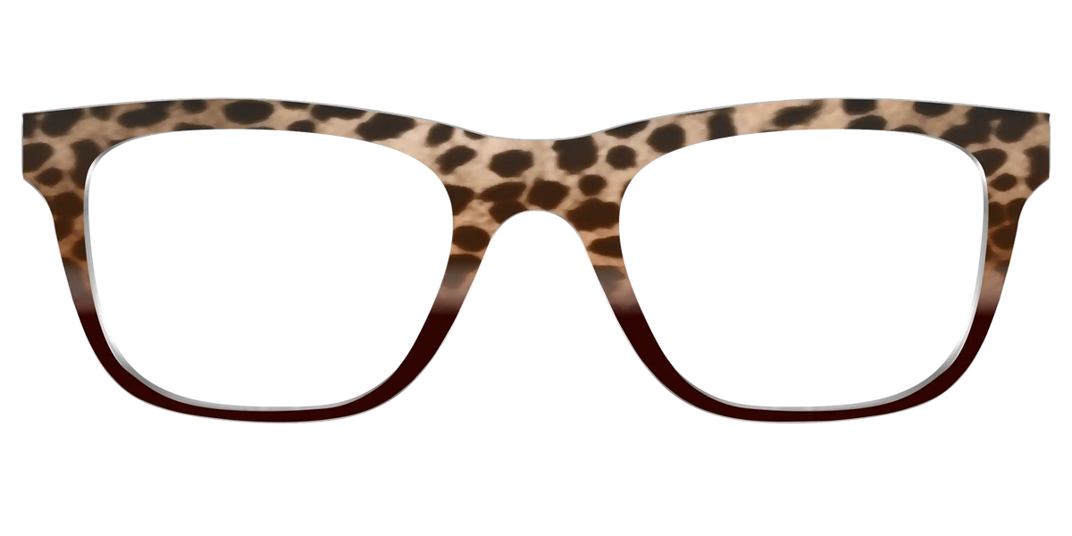 The Jungle Cat Tortoise