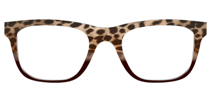 The Jungle Cat Tortoise