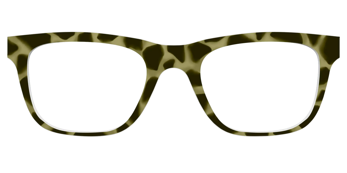 The Olive Tortoise