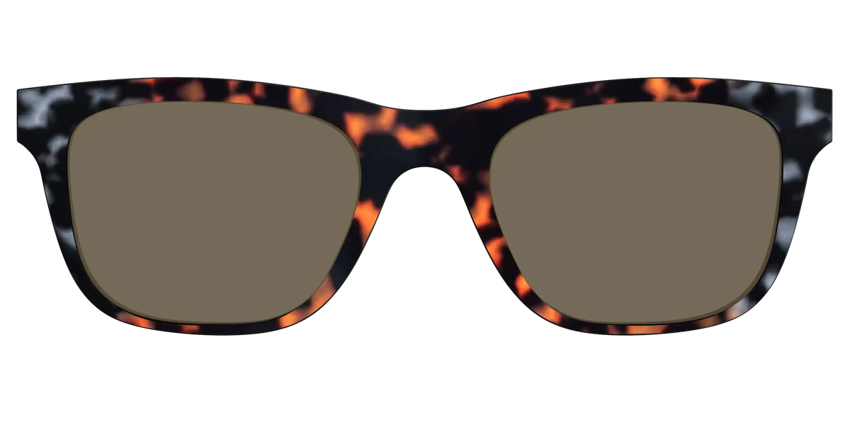 The Polarized Gray & Amber Tortoise Sun Top
