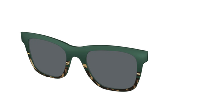The Polarized Spruce Tortoise Sun Top