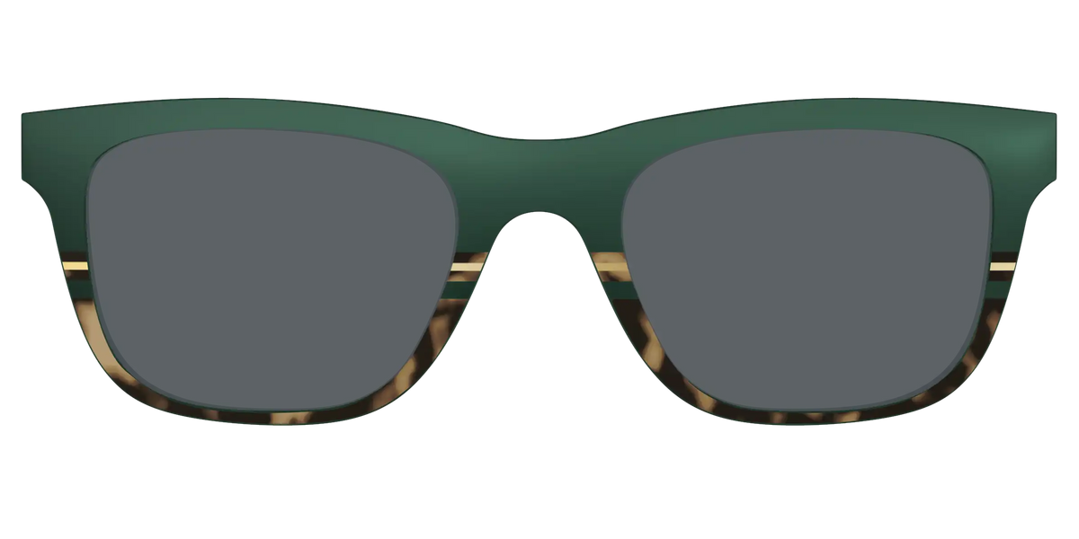 The Polarized Spruce Tortoise Sun Top