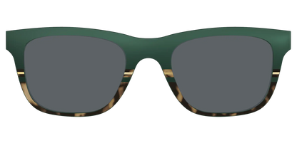The Polarized Spruce Tortoise Sun Top