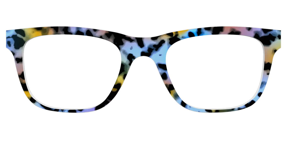 The Positano Tortoise