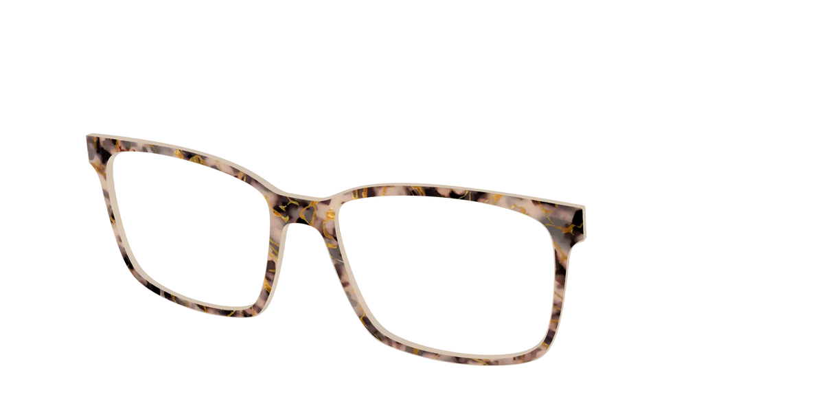 The Almond Tortoise with Gold Streaks