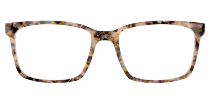 The Almond Tortoise with Gold Streaks