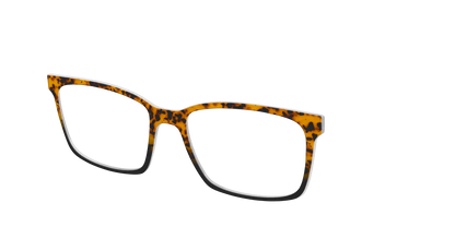 The Amber Tort