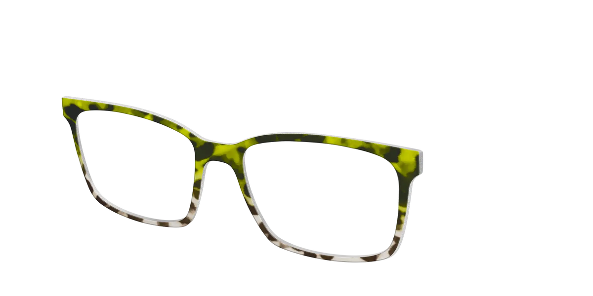 The Avocado to Ivory Tortoise