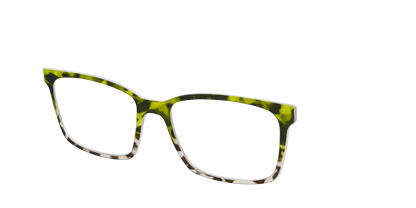 The Avocado to Ivory Tortoise