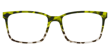 The Avocado to Ivory Tortoise