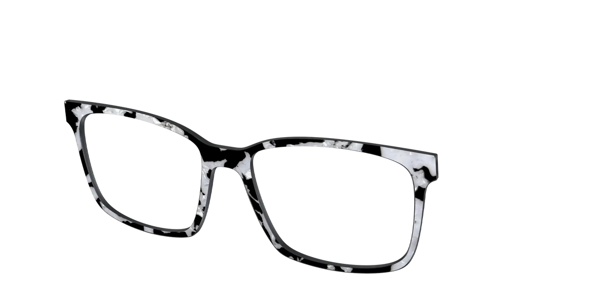 The Black & White Pearl Tortoise