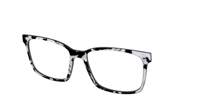 The Black & White Pearl Tortoise